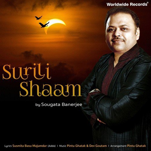 Sureeli Shaam Hai - Sougata Banerjee