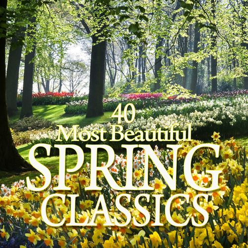 Die Winterreise D911  XI Frhlingstraum - Various Artists