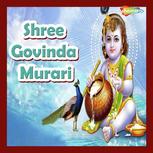 Teri Leela Krishna - Vandit Chhadva, Miten Chhadva