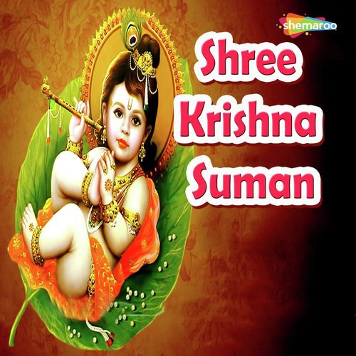 Mujhe Milna Hai Kanha - Miten Chhadva, Vandit Chhadva
