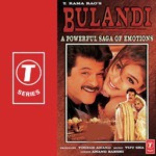 Humne Tumko Chun - Viju Shah