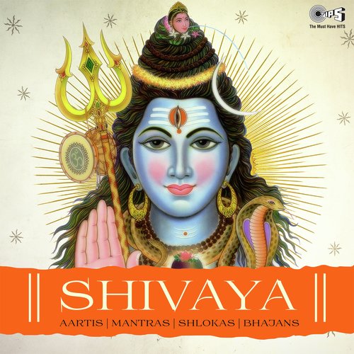 Shiv Gayatri - Various Artists