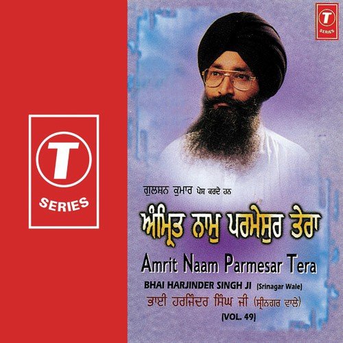 Dithe Sabhe Thav Nahi Tudh - Bhai Harjinder Singh Ji (Srinagar Wale)