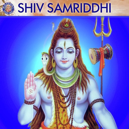 Shiv Tandav Stotra - Various Artists