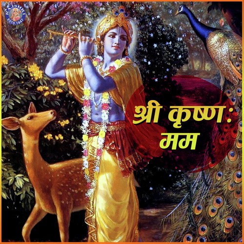 Baaji Baaji Re - Sanjeevani Bhelande