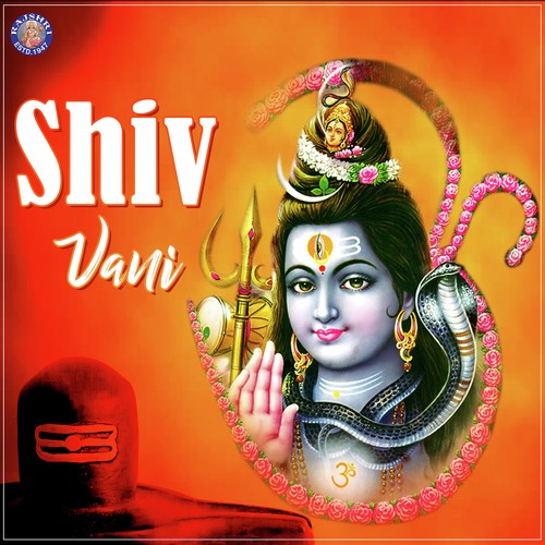 Shiv Tandav Stotra - Various Artists