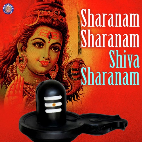 Shiv Tandav Stotra - Various Artists