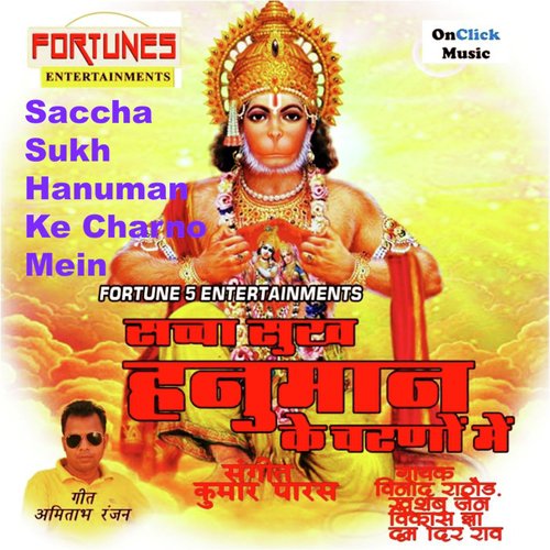 Ho Jayega Mangal Mangal - Various Artists