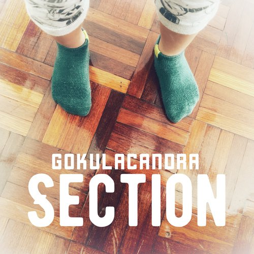 Section - Gokulacandra