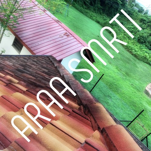 Smrti - Araa