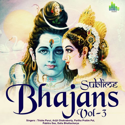 Om Namoh Shivay - Various Artists