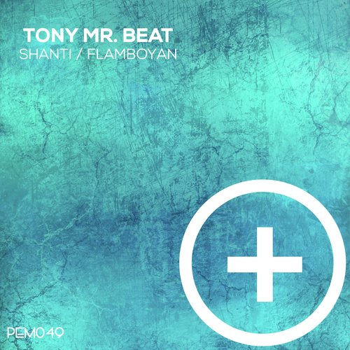 Shanti - Tony Mr. Beat