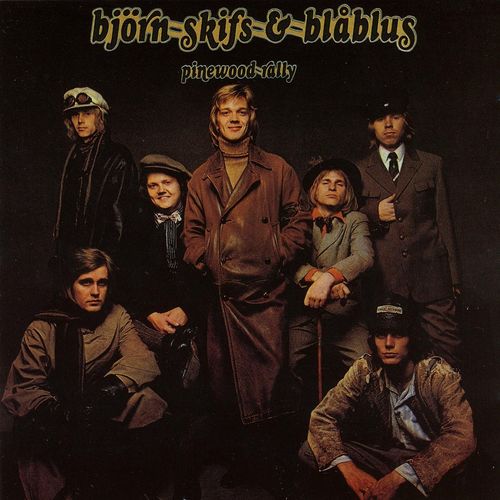 (I Washed My Hands In) Muddy Water - Bjrn Skifs