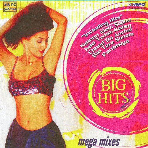 Chadh Gayo Papi Bichhua (Remix) - Various Artists
