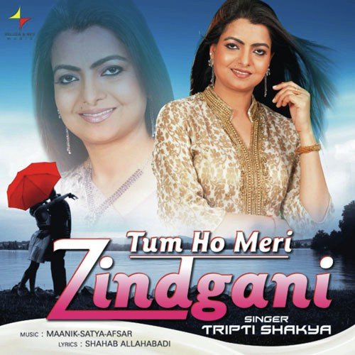 Tum Ho Meri Zindgaani - Various Artists