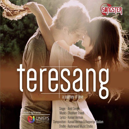 Tere Sang - Amit Sengar