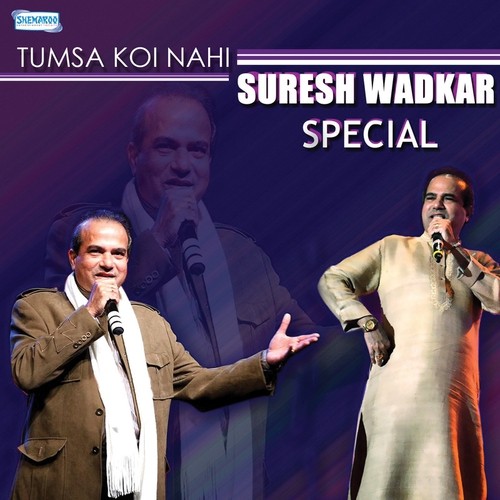 Tumsa Koi Nahi (From Vapsi Sajan Ki) - Suresh Wadkar
