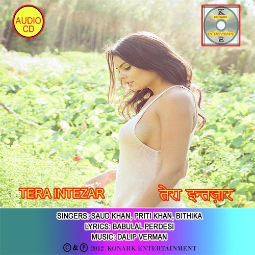 Dil Tera Le Jaunga - Dalip Verman