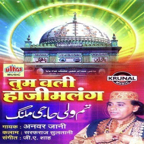 Dil Kash Pahadi Hai Ye - Anwar Jani