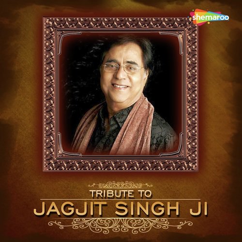 Tumhare Jaisa Koi Dusra Jagjit - Anurag Srivastava, Parineeta Ranawat
