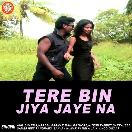 Chahat Ke Hansi Pal Male - Anil Sharma