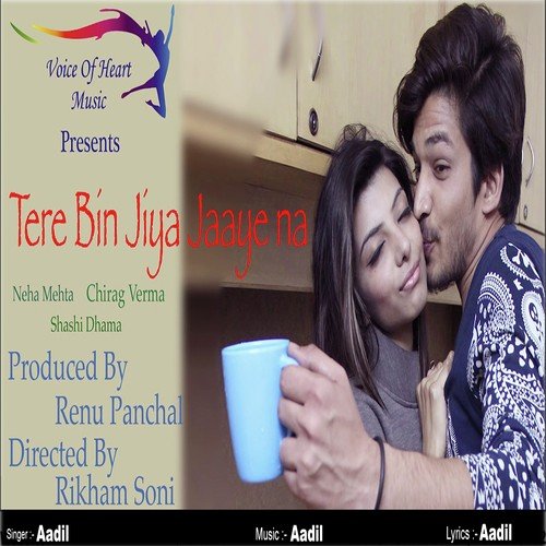 Tere Bin Jiya Jaaye Na - Aadil