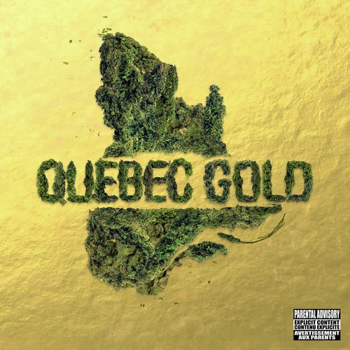 Ngatif - Various Artists