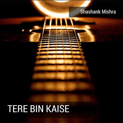Tere Bin Kaise - Shashank Mishra