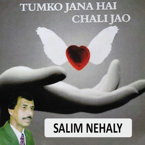 Jab Tak Hai Yeh Jawaani - Salim Nehaly