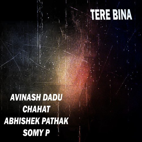 Tere Bina - Abhishek Pathak, Chahat, Somy P, Avinash Dadu