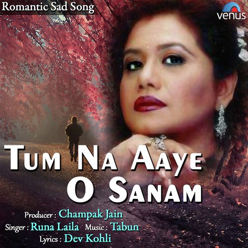Tum Na Aaye O Sanam - Runa Laila
