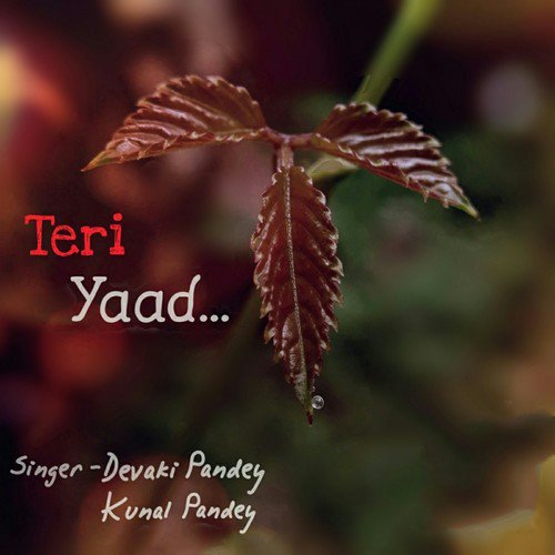 Teri Yaad - Devaki Pandey amp Kunal Pandey