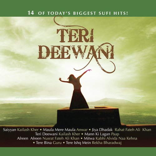 Tere Bina - Various Artists
