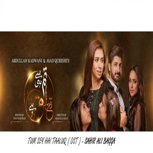 Tum Se Hi Taluq Hai - Ost - Sahir Ali Bagga