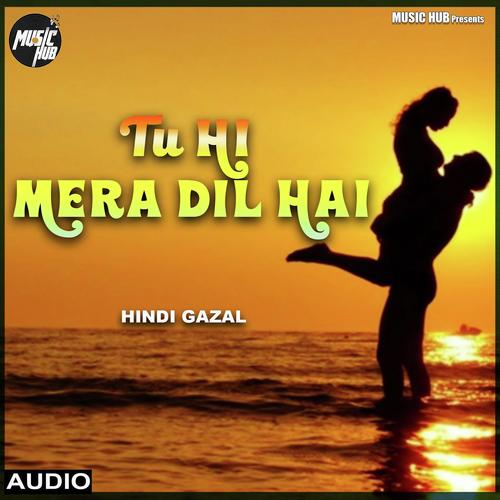 Tu Hi Mera Dil Hai - Akhilesh Kumar
