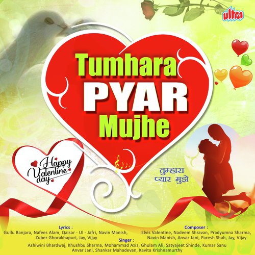 Hum Tere Shahar Me Aaye Hai - Various Artists