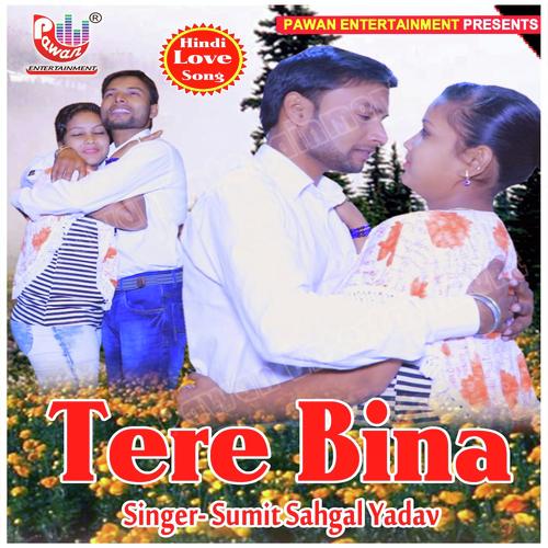 Tere Bina - Sumit Sahgal Yadav