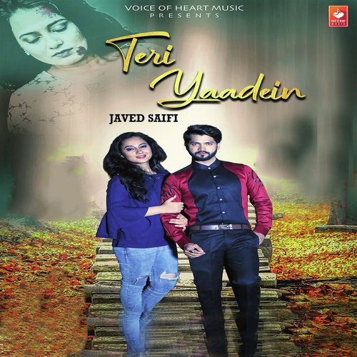Teri Yaadein - Javed Saifi
