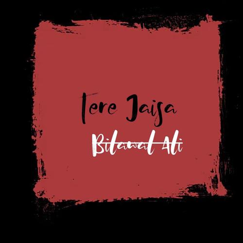 Tere Jaisa - Bilawal Ali