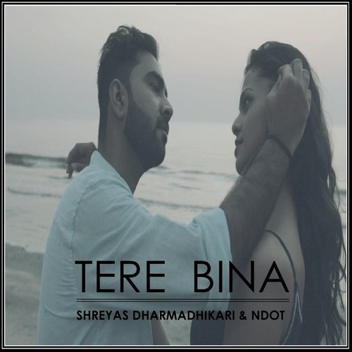 Tere Bina (feat. NDot) - Saurabh Chauhan, Shreyas Dharmadhikari, Keval Walanj, Nirmal Singh, Ndot