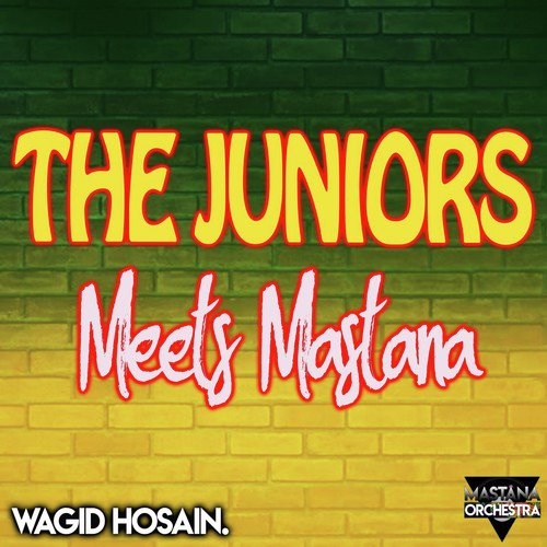 Tum Na Jane - a titleSongs performed by Wagid Hosain amp The Juniors Meets Mastana Orchestra class hrefhttpswww.ji
