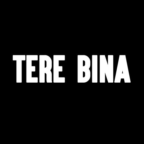 Tere Bina - Ajeet Srivastava