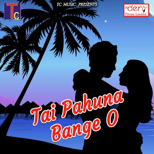 Tor Maya Ke Surta - Various Artists