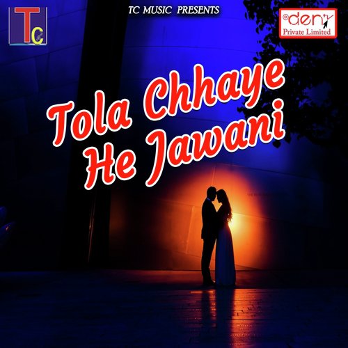 Raipur Sahar Ke Samdhin - Various Artists