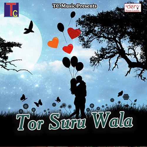 Jai Ho Chhatishgadh Mahatari - Various Artists