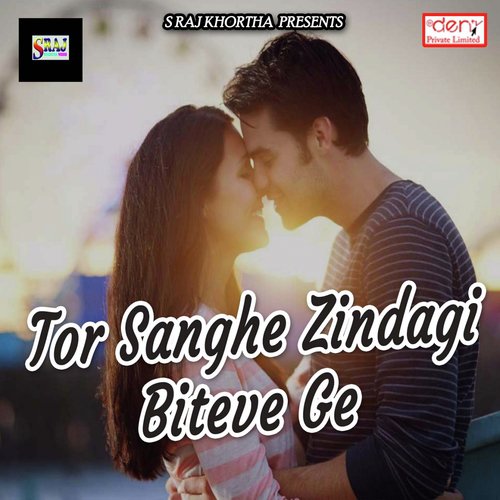 Ham Hai Shahar Ke Laiki - Various Artists