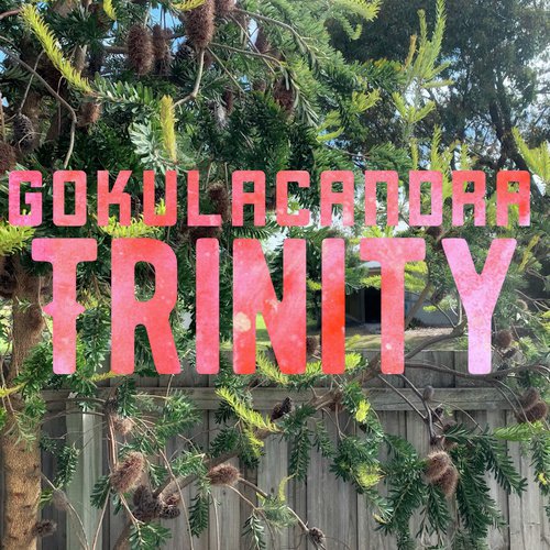 Trinity - Gokulacandra