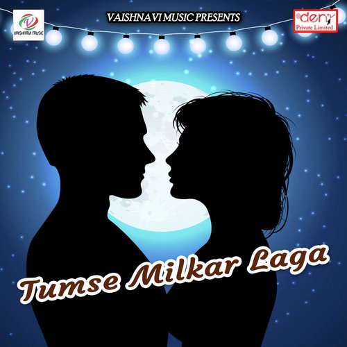 Deshi Pichakari - Various Artists