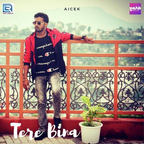 Tere Bina - Aicek