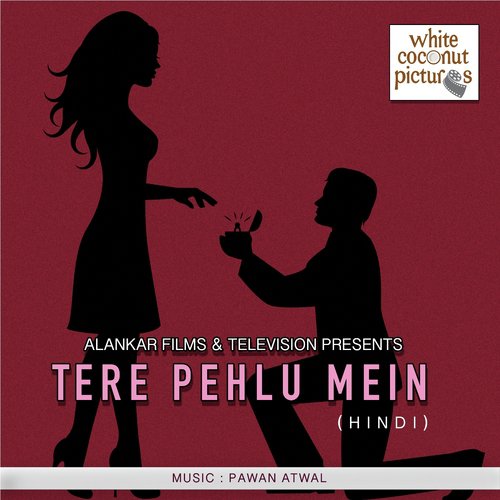 Tere To Zindagi Che Roshni - Various Artists